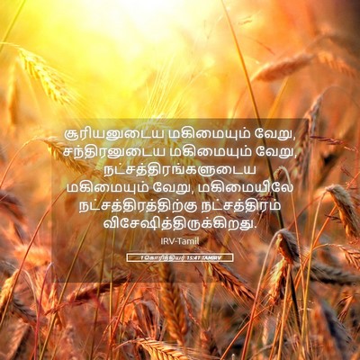 Picture 05 - 1 கொரிந்தியர் 15:41 TAMIRV - சூரியனுடைய - Bible Verse Picture