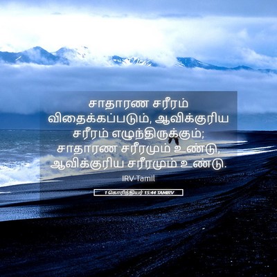 Picture 05 - 1 கொரிந்தியர் 15:44 TAMIRV - சாதாரண சரீரம் - Bible Verse Picture