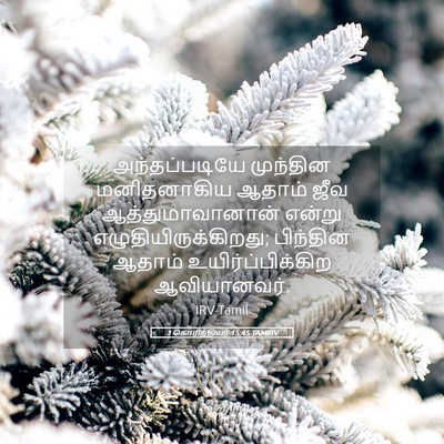 Picture 05 - 1 கொரிந்தியர் 15:45 TAMIRV - அந்தப்படியே - Bible Verse Picture