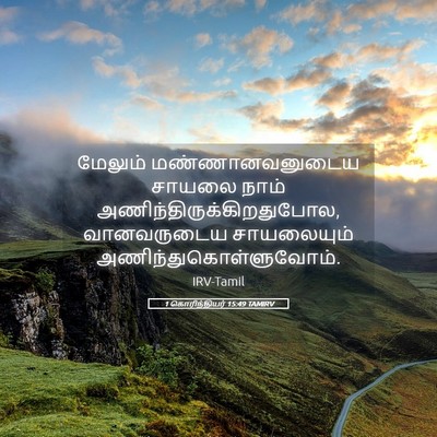 Picture 05 - 1 கொரிந்தியர் 15:49 TAMIRV - மேலும் - Bible Verse Picture
