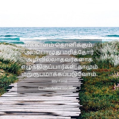 Picture 05 - 1 கொரிந்தியர் 15:52 TAMIRV - எக்காளம் - Bible Verse Picture