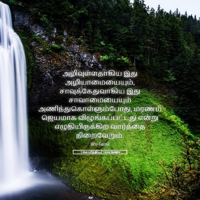 Picture 05 - 1 கொரிந்தியர் 15:54 TAMIRV - அழிவுள்ளதாகிய இது - Bible Verse Picture
