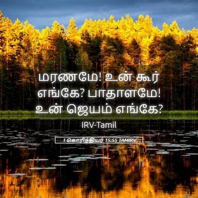 Picture 05 - 1 கொரிந்தியர் 15:55 TAMIRV - மரணமே! உன் கூர் - Bible Verse Picture