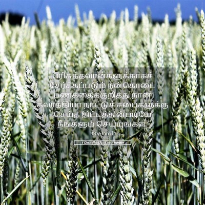 Picture 05 - 1 கொரிந்தியர் 16:1 TAMIRV -  - Bible Verse Picture