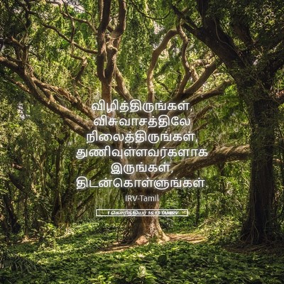 Picture 05 - 1 கொரிந்தியர் 16:13 TAMIRV - விழித்திருங்கள், - Bible Verse Picture