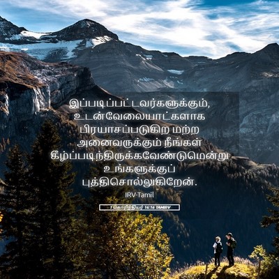 Picture 05 - 1 கொரிந்தியர் 16:16 TAMIRV -  - Bible Verse Picture