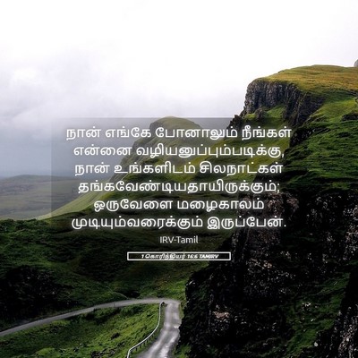 Picture 05 - 1 கொரிந்தியர் 16:6 TAMIRV - நான் எங்கே - Bible Verse Picture