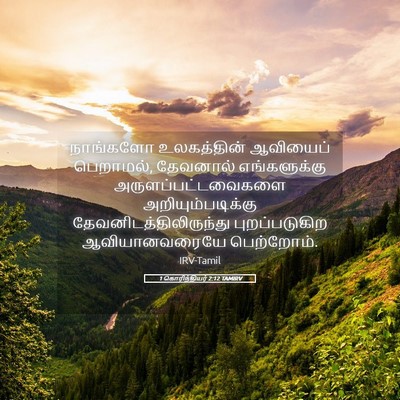 Picture 05 - 1 கொரிந்தியர் 2:12 TAMIRV - நாங்களோ உலகத்தின் - Bible Verse Picture