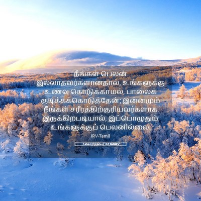 Picture 05 - 1 கொரிந்தியர் 3:2 TAMIRV - நீங்கள் பெலன் - Bible Verse Picture