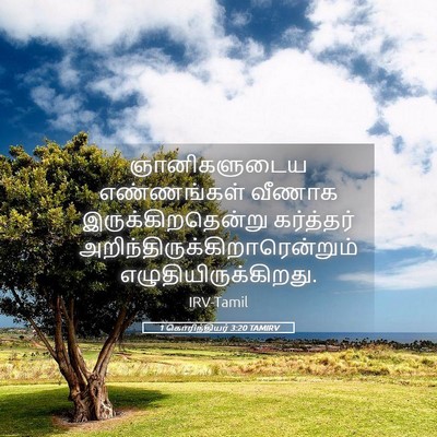 Picture 05 - 1 கொரிந்தியர் 3:20 TAMIRV - ஞானிகளுடைய - Bible Verse Picture