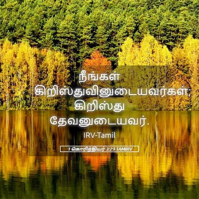 Picture 05 - 1 கொரிந்தியர் 3:23 TAMIRV - நீங்கள் - Bible Verse Picture
