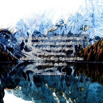 Picture 05 - 1 கொரிந்தியர் 3:7 TAMIRV - அப்படியிருக்க, - Bible Verse Picture
