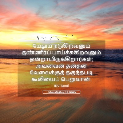 Picture 05 - 1 கொரிந்தியர் 3:8 TAMIRV - மேலும் - Bible Verse Picture