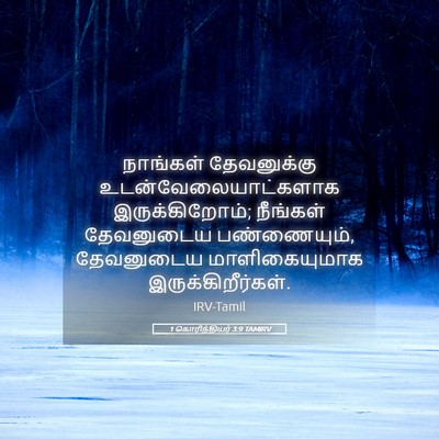 Picture 05 - 1 கொரிந்தியர் 3:9 TAMIRV - நாங்கள் தேவனுக்கு - Bible Verse Picture