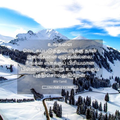 Picture 05 - 1 கொரிந்தியர் 4:14 TAMIRV - உங்களை - Bible Verse Picture
