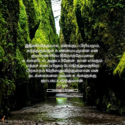 Picture 05 - 1 கொரிந்தியர் 4:17 TAMIRV - இதினிமித்தமாக, - Bible Verse Picture