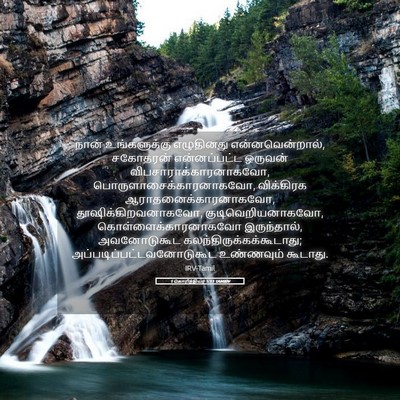 Picture 05 - 1 கொரிந்தியர் 5:11 TAMIRV - நான் உங்களுக்கு - Bible Verse Picture