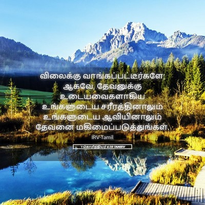 Picture 05 - 1 கொரிந்தியர் 6:20 TAMIRV - விலைக்கு - Bible Verse Picture