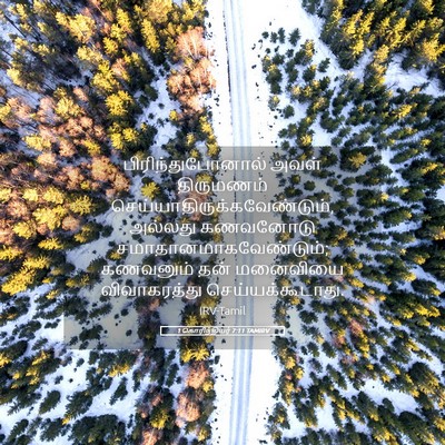 Picture 05 - 1 கொரிந்தியர் 7:11 TAMIRV - பிரிந்துபோனால் - Bible Verse Picture