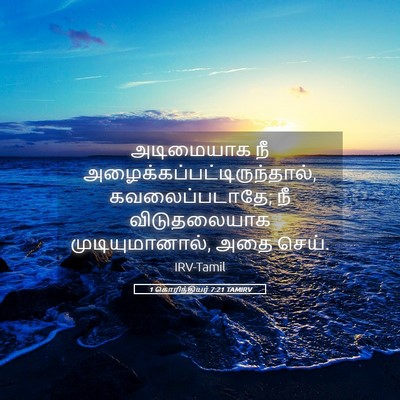 Picture 05 - 1 கொரிந்தியர் 7:21 TAMIRV - அடிமையாக நீ - Bible Verse Picture