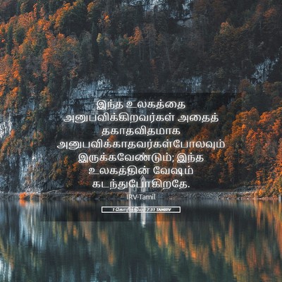 Picture 05 - 1 கொரிந்தியர் 7:31 TAMIRV - இந்த உலகத்தை - Bible Verse Picture