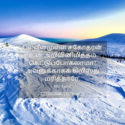 Picture 05 - 1 கொரிந்தியர் 8:11 TAMIRV - பலவீனமுள்ள - Bible Verse Picture