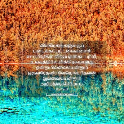 Picture 05 - 1 கொரிந்தியர் 8:4 TAMIRV -  - Bible Verse Picture