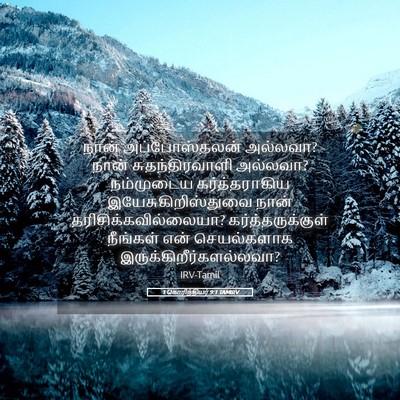 Picture 05 - 1 கொரிந்தியர் 9:1 TAMIRV - நான் அப்போஸ்தலன் - Bible Verse Picture