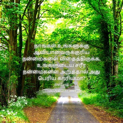Picture 05 - 1 கொரிந்தியர் 9:11 TAMIRV - நாங்கள் - Bible Verse Picture