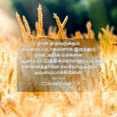 Picture 05 - 1 கொரிந்தியர் 9:19 TAMIRV - நான் ஒருவருக்கும் - Bible Verse Picture
