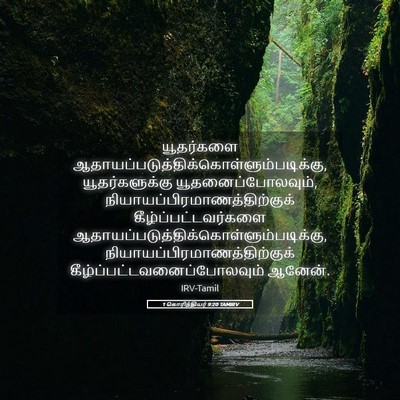 Picture 05 - 1 கொரிந்தியர் 9:20 TAMIRV - யூதர்களை - Bible Verse Picture