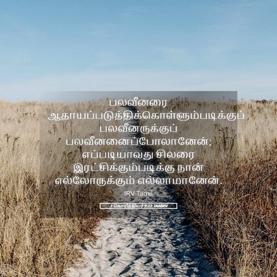 Picture 05 - 1 கொரிந்தியர் 9:22 TAMIRV - பலவீனரை - Bible Verse Picture