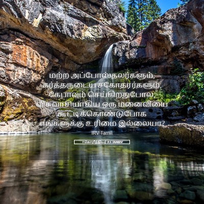 Picture 05 - 1 கொரிந்தியர் 9:5 TAMIRV - மற்ற - Bible Verse Picture