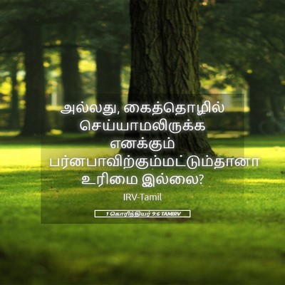 Picture 05 - 1 கொரிந்தியர் 9:6 TAMIRV - அல்லது, - Bible Verse Picture
