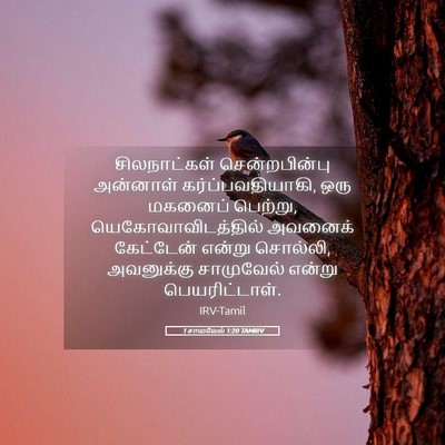 Picture 05 - 1 சாமுவேல் 1:20 TAMIRV - சிலநாட்கள் - Bible Verse Picture