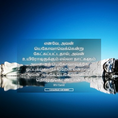 Picture 05 - 1 சாமுவேல் 1:28 TAMIRV - எனவே, அவன் - Bible Verse Picture