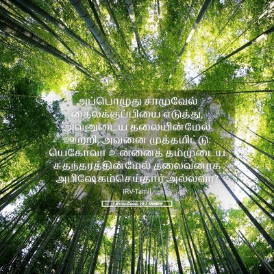 Picture 05 - 1 சாமுவேல் 10:1 TAMIRV - அப்பொழுது - Bible Verse Picture