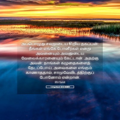Picture 05 - 1 சாமுவேல் 10:14 TAMIRV - அப்பொழுது - Bible Verse Picture