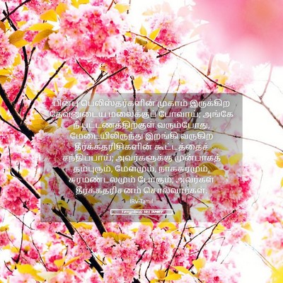 Picture 05 - 1 சாமுவேல் 10:5 TAMIRV - பின்பு - Bible Verse Picture
