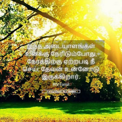 Picture 05 - 1 சாமுவேல் 10:7 TAMIRV - இந்த அடையாளங்கள் - Bible Verse Picture