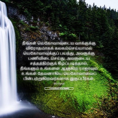 Picture 05 - 1 சாமுவேல் 12:14 TAMIRV - நீங்கள் - Bible Verse Picture