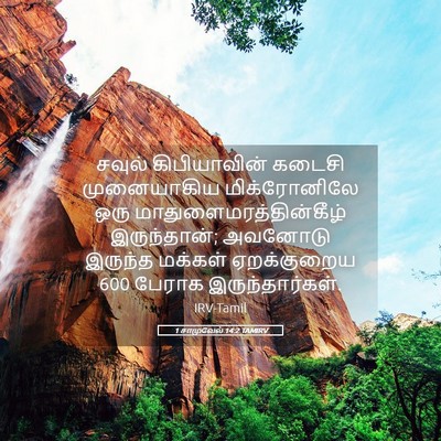Picture 05 - 1 சாமுவேல் 14:2 TAMIRV - சவுல் கிபியாவின் - Bible Verse Picture