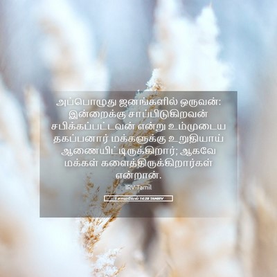 Picture 05 - 1 சாமுவேல் 14:28 TAMIRV - அப்பொழுது - Bible Verse Picture