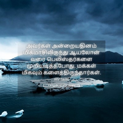 Picture 05 - 1 சாமுவேல் 14:31 TAMIRV - அவர்கள் - Bible Verse Picture