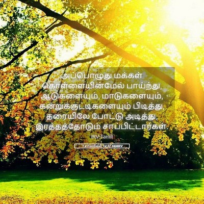 Picture 05 - 1 சாமுவேல் 14:32 TAMIRV - அப்பொழுது மக்கள் - Bible Verse Picture