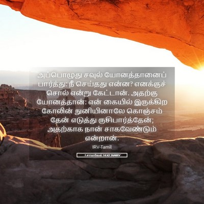 Picture 05 - 1 சாமுவேல் 14:43 TAMIRV - அப்பொழுது சவுல் - Bible Verse Picture