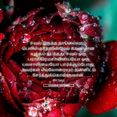 Picture 05 - 1 சாமுவேல் 14:52 TAMIRV - சவுல் இருந்த - Bible Verse Picture