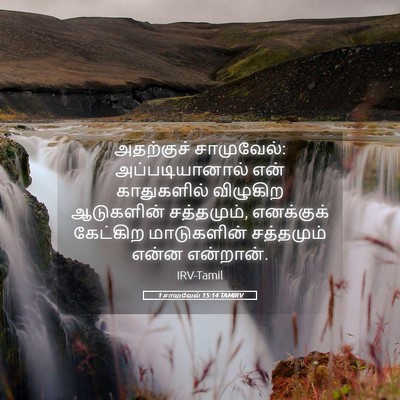 Picture 05 - 1 சாமுவேல் 15:14 TAMIRV - அதற்குச் - Bible Verse Picture