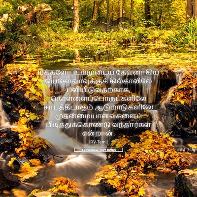 Picture 05 - 1 சாமுவேல் 15:21 TAMIRV - மக்களோ உம்முடைய - Bible Verse Picture