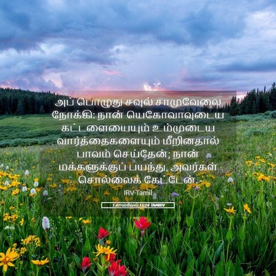Picture 05 - 1 சாமுவேல் 15:24 TAMIRV - அப் பொழுது சவுல் - Bible Verse Picture